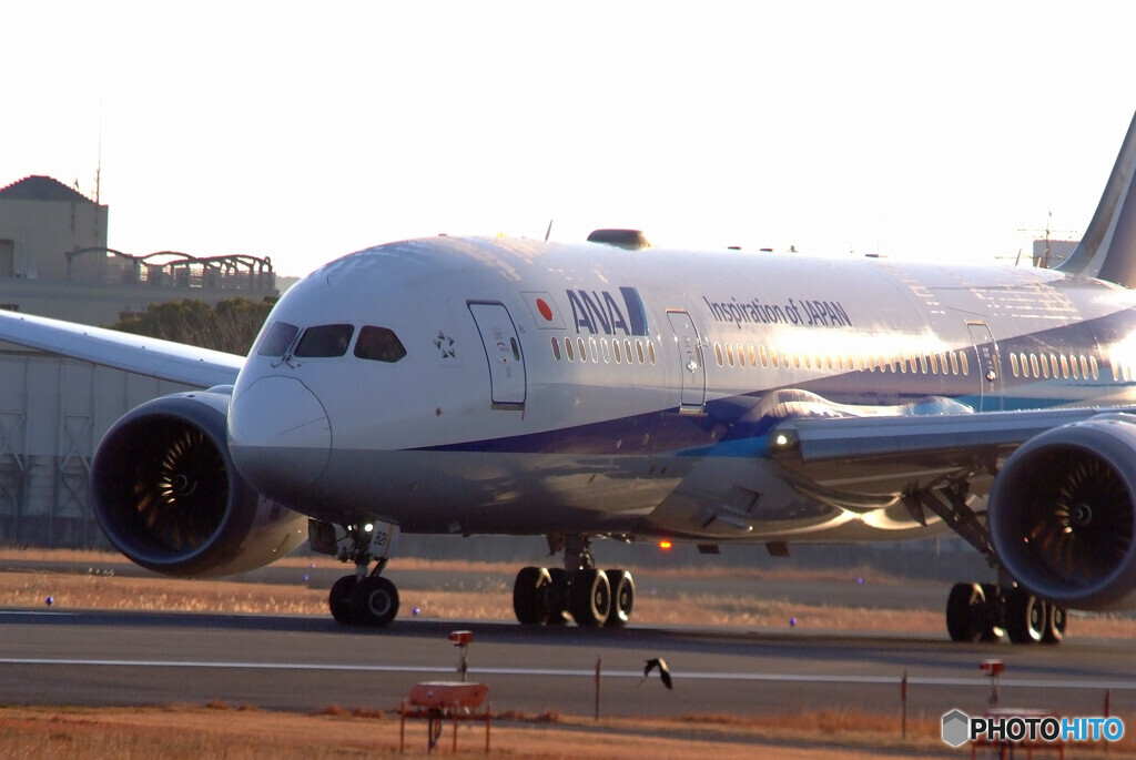 熱き心に！Dreamlinerが飛ぶ