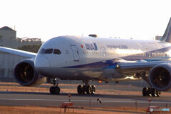 熱き心に！Dreamlinerが飛ぶ