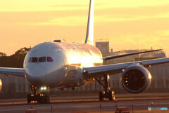 Rising Sun★Boeing 787-8