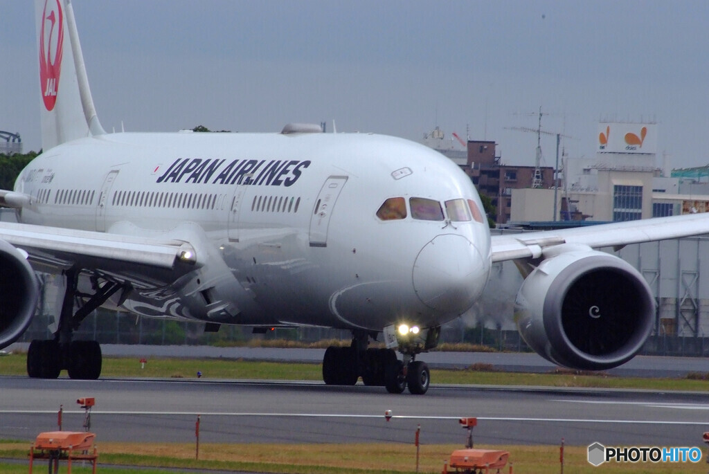 Birthday57✈Boeing787-8