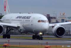 Birthday57✈Boeing787-8