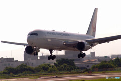 9月の旅人Ⅵ✈Boeing767-300