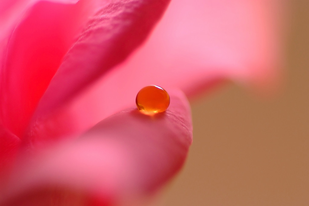 光の軌跡Ⅱ・雫