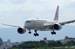 HARADAの空✈Boeing 787-8