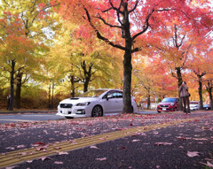 紅葉散歩➐❁三色彩道2025