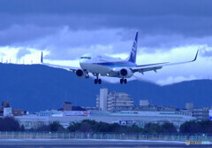 Good AfternoonⅢ✈ Boeing 737