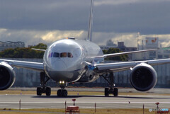 Memory of March✈Boeing787-8