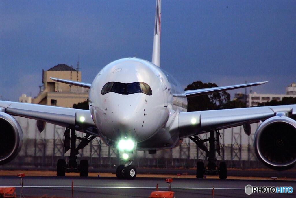 それぞれの旅路へⅡ✈A350-900