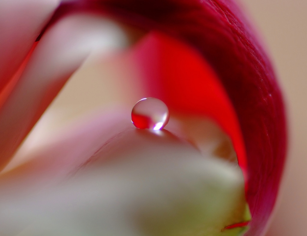 ０(ゼロ）の世界・雫