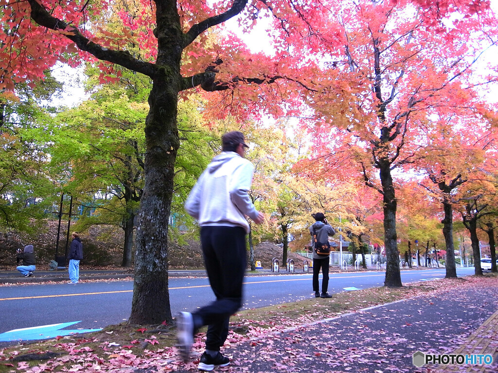 紅葉を撮る男＆紅葉の下を走る男
