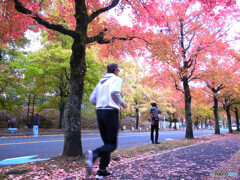 紅葉を撮る男＆紅葉の下を走る男
