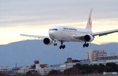 2月の旅人✈Boeing 767-300