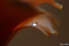 静寂の時間・雫