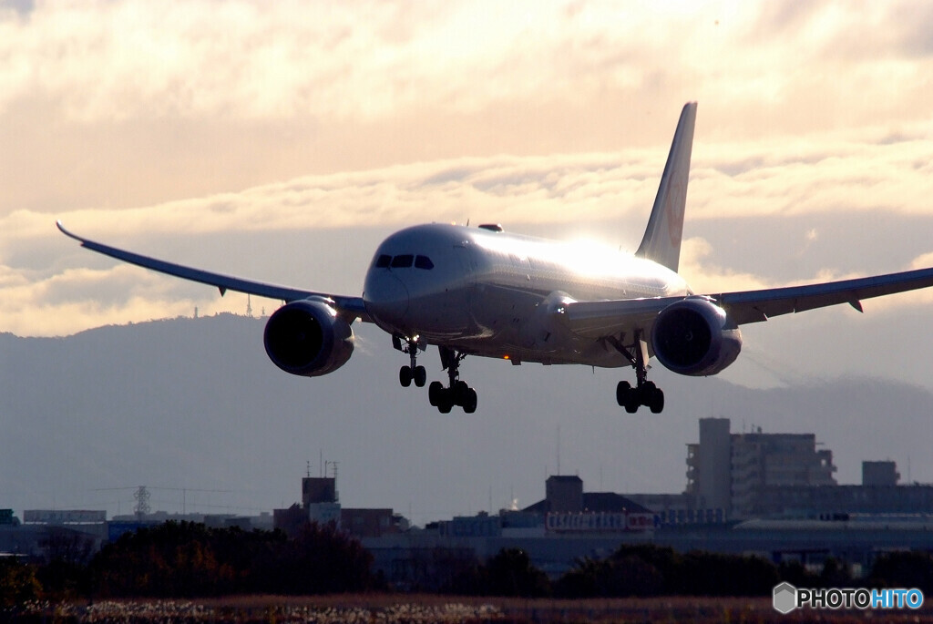 Morning Flight✈耀き