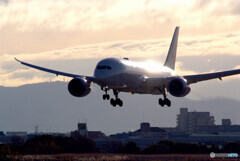 Morning Flight✈耀き