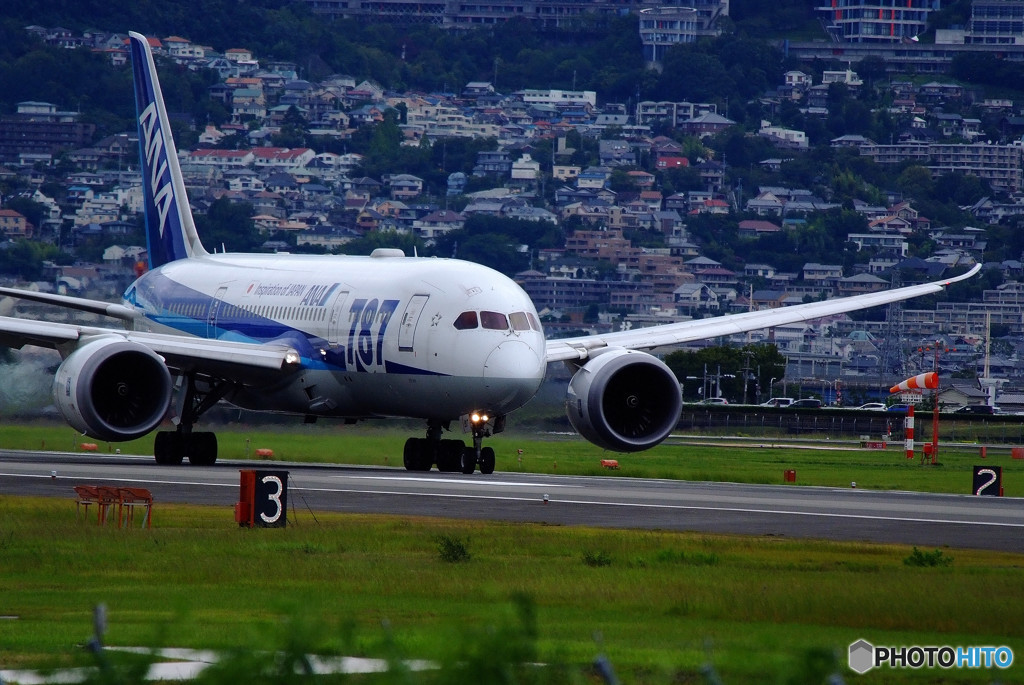 A gift from the North・(Ⅵ）