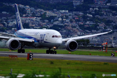 A gift from the North・(Ⅵ）