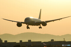Morning Glow✈787-8 Dreamliner