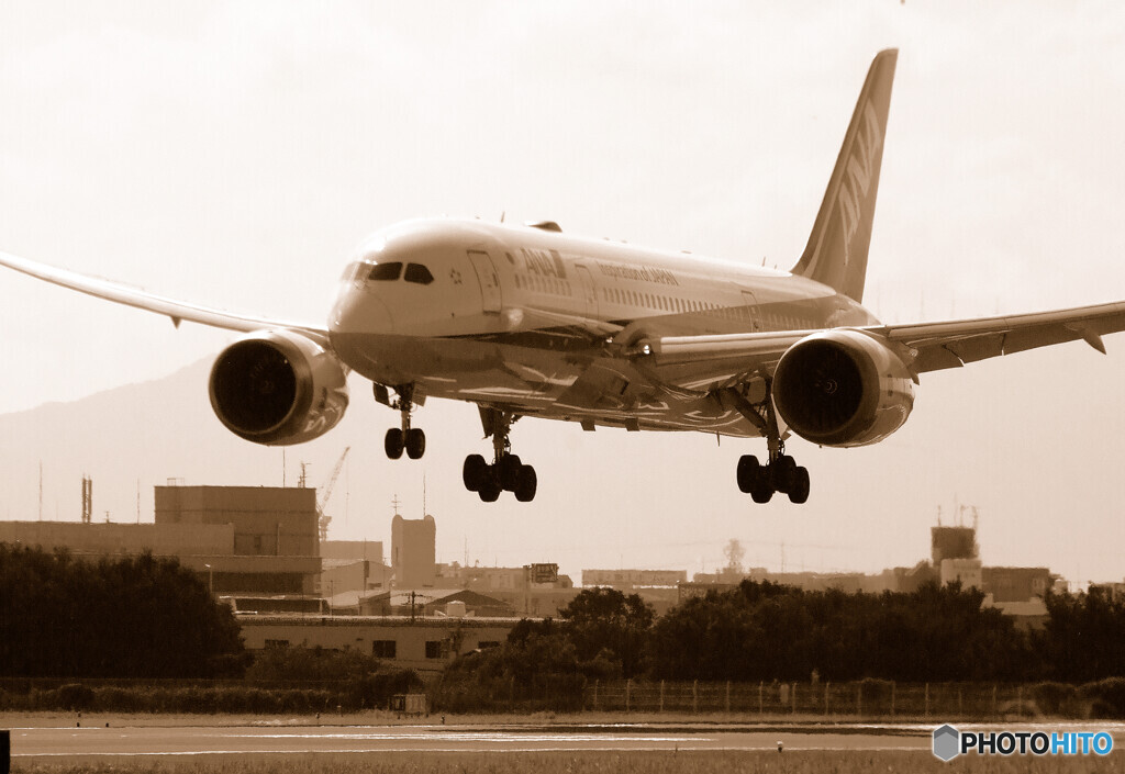 Sepiaの世界へⅢ✈Dreamliner