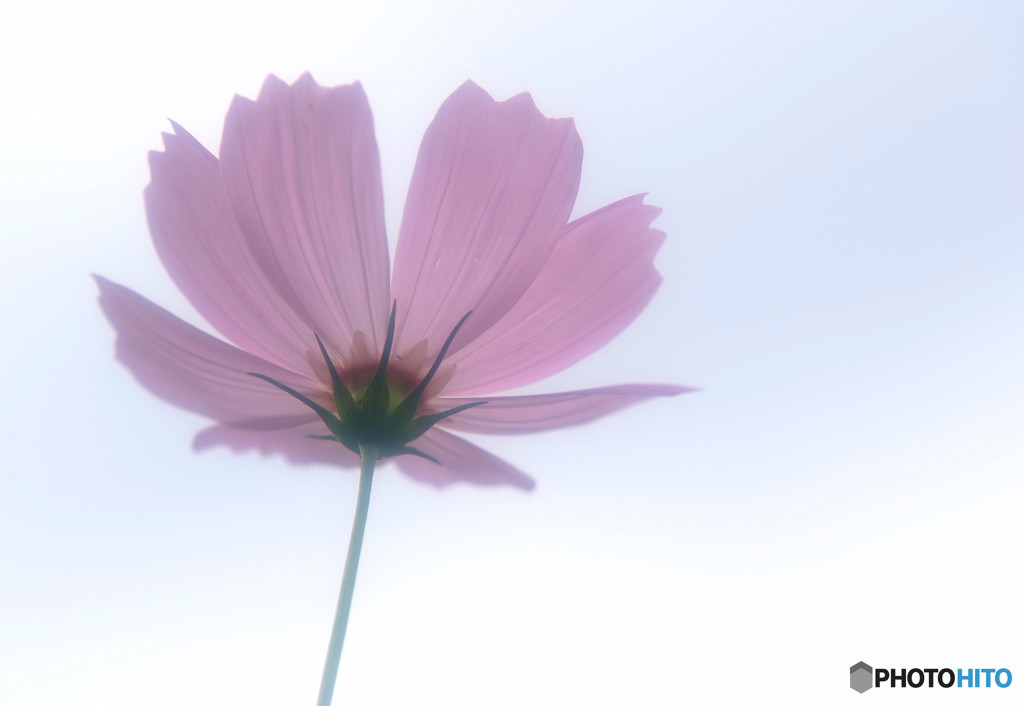 My Treasure・序章