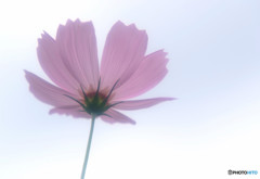 My Treasure・序章