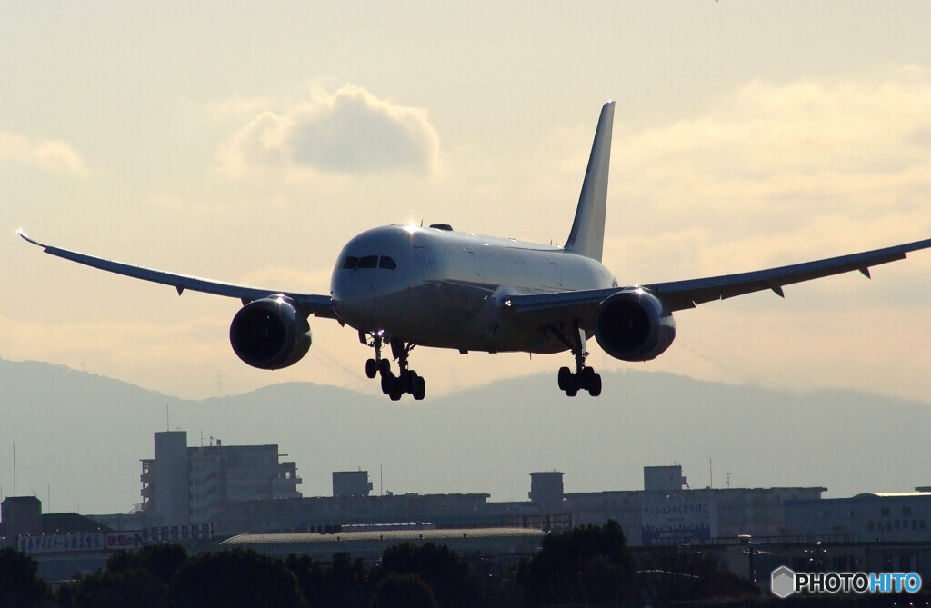 男の浪漫Ⅴ✈JAL Boeing787-8