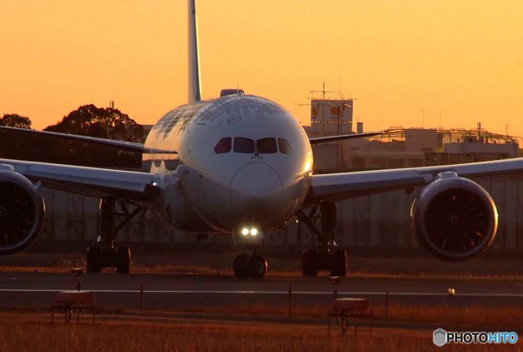 終りのない旅へ✈Dreamliner