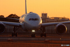 終りのない旅へ✈Dreamliner