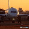 終りのない旅へ✈Dreamliner