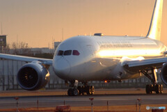 January13th✈旅立ちの朝