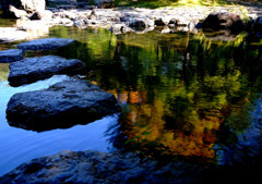 コバルトの季節の中で・・