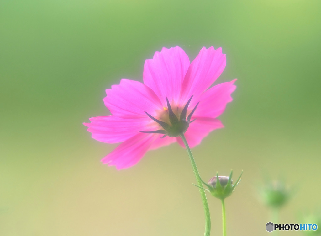 My Treasure・夢心