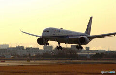 March MorningⅢ★Boeing787-9