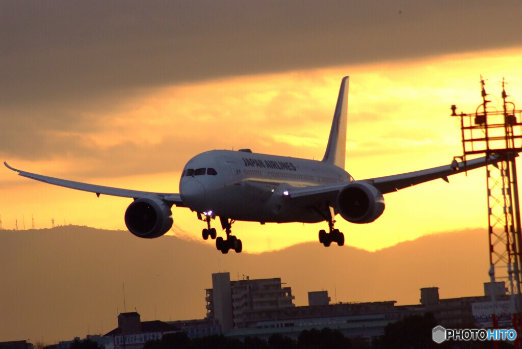 December morningⅤ✈Boeing787-8