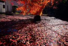 紅葬・2015