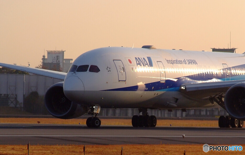 Happy Saturday✈Boeing787