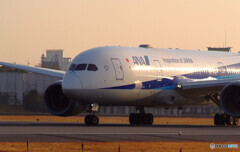 Happy Saturday✈Boeing787