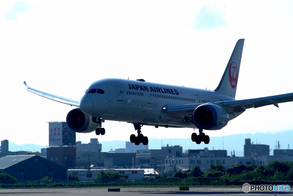 男の旅路Ⅲ 夏✈Boeing787-8