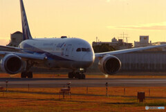 Morning star✈JA818A