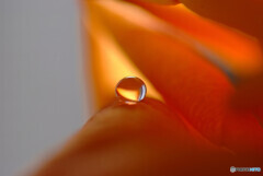 真実の瞳・祈り