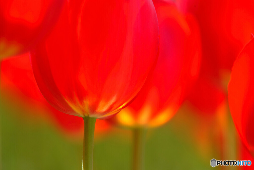 Passion❁熱き心に