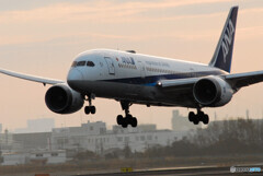  Morning Bird✈Boeing 787-8