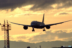 Airplane ParadiseⅧ✈JAL Boeing787-8