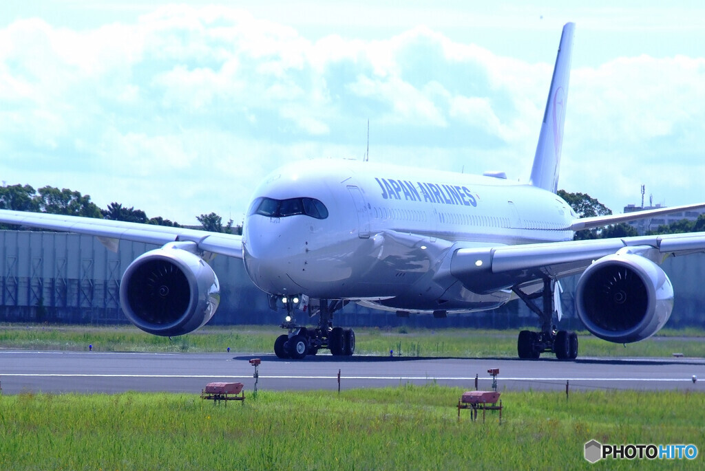 Delusional TripⅡ✈HARADA