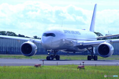 Delusional TripⅡ✈HARADA