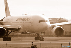 Good Morning Bird・777