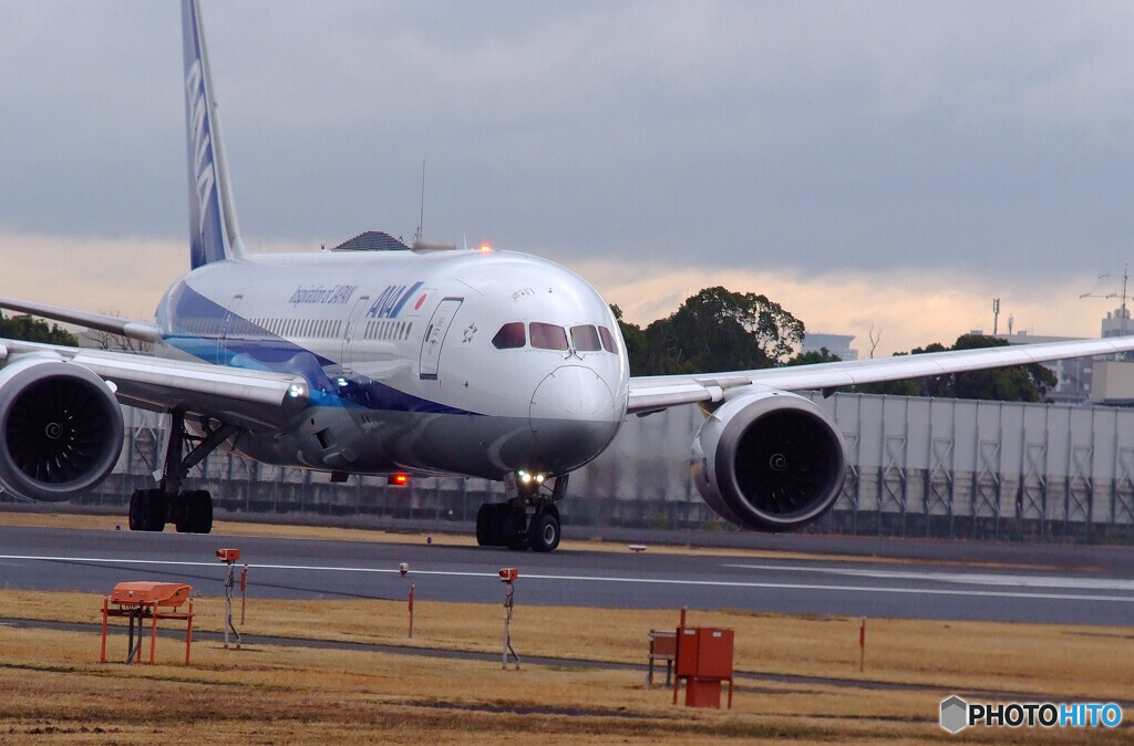 Morning Bird✈HARADA