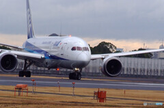 Morning Bird✈HARADA