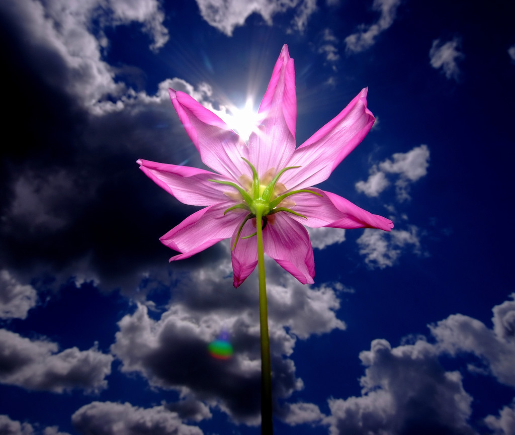 秋空と風車そして太陽