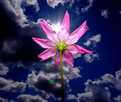 秋空と風車そして太陽